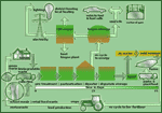 how the process works - click to see more